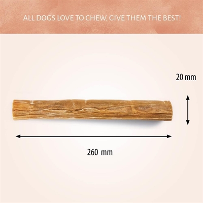 Geperste Staaf 10 Inch 20 mm 20 st - Merkloos