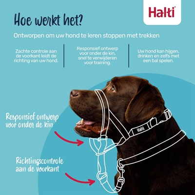 The Company of Animals Halti Headcollar Zwart Nr 3