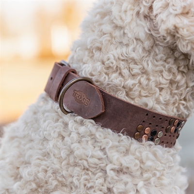 Trixie Halsband Hond Rivet Vetleer Donkerbruin XL 55-65 cm