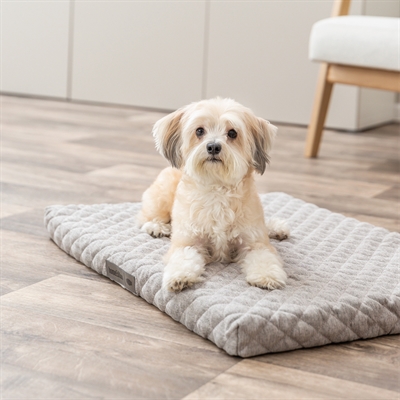 Trixie Hondenkussen Noah Vital 75x55 cm — Comfortabele ligplek voor jouw hond