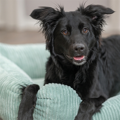 Trixie Hondenmand Jonna Vital Ribstof 120x80 cm — Comfortabele rustplek voor je hond