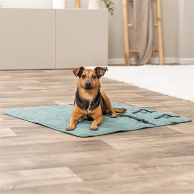 Trixie Hondendeken Reisdeken Citystyle 80x80 cm Saliegroen