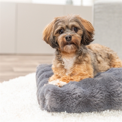 Trixie Hondenkussen Elli Donkergrijs 60x45 cm — Comfortabele rustplek voor je hond