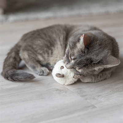 Trixie Pluche Beer Met Catnip 8 CM Assorti