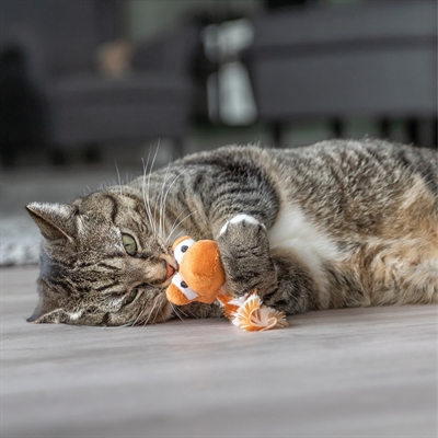 Trixie Draak Pluche Met Catnip 20 CM Assorti