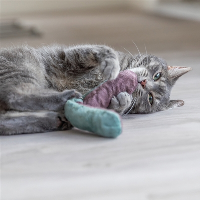 Trixie Speelkussen Rol met Catnip 26x4 cm Assorti