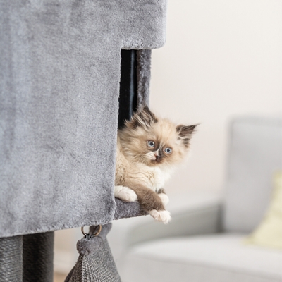 Trixie Krabpaal Active met Klimwand Grijs 96x38x122 cm