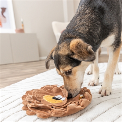 Trixie Be Eco Snackmat Leeuw 26 cm 2 st