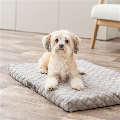 Trixie Hondenkussen Noah Vital Lichtgrijs 50x35 cm — Comfortabele rustplek voor je hond