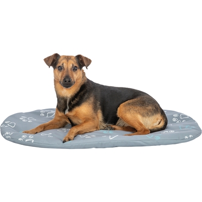Trixie Hondenkussen Jimmy Ovaal 64x41 cm — Comfortabele plek voor je hond