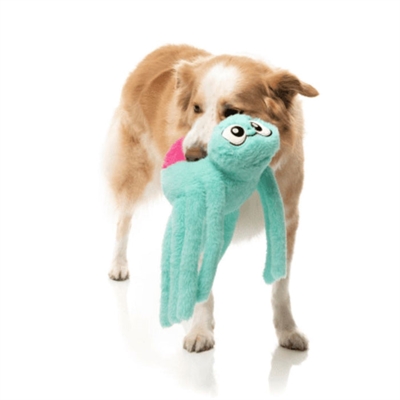 Fuzzyard Webigail The Spider Aqua/Roze hondenspeeltje 23x58x13 cm