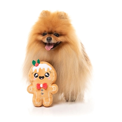 Fuzzyard Mistle-Dough hondenspeeltje 23x15x3 CM kerstkoekje