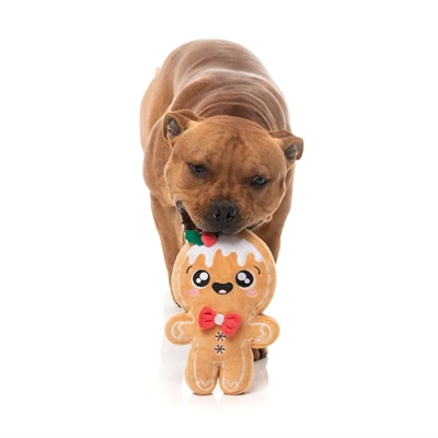 Fuzzyard Mistle-Dough hondenspeeltje 23x15x3 CM kerstkoekje