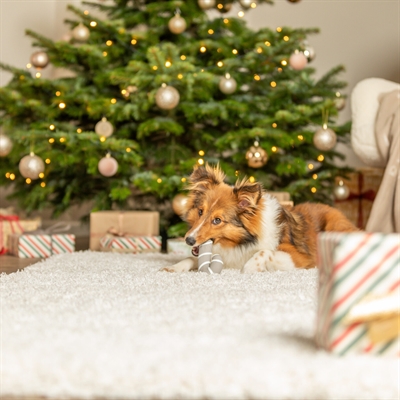 Trixie Xmas Kerststok Latex Grijs 10 CM voor honden
