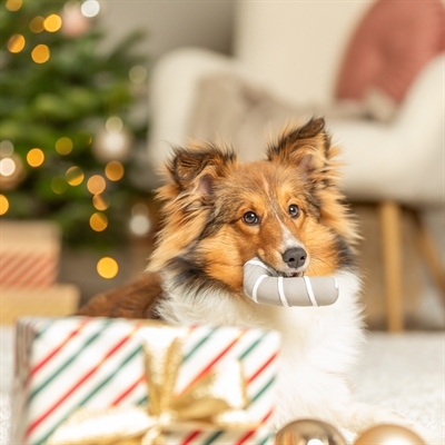 Trixie Xmas Kerststok Latex Grijs 10 CM voor honden
