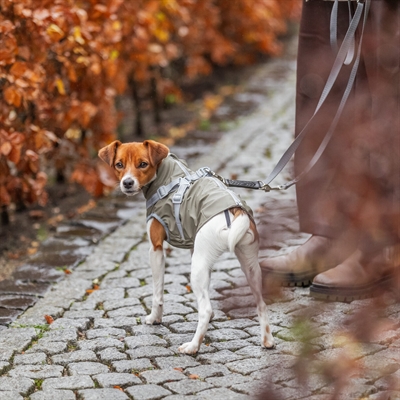 Trixie Regenjas Hond Pontis Rain Tuig Olijfgroen 27 CM