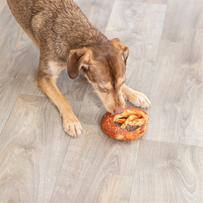 Trixie Denta Fun Pretzels Eend 15 cm Kauwsnack voor honden