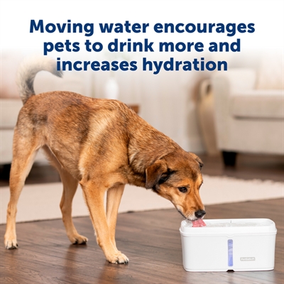 Petsafe Drinkfontein Viva 4,1 ltr voor katten en honden