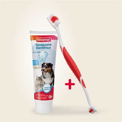 Beaphar Tandpasta en Borstel Combi-pack voor Honden en Katten