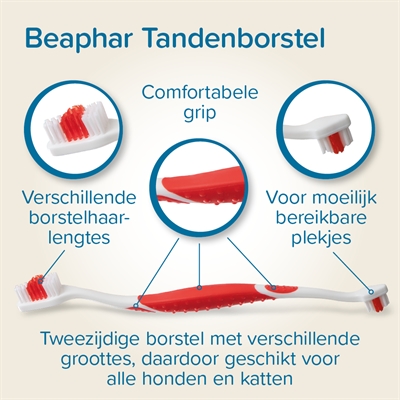 Beaphar Tandpasta en Borstel Combi-pack voor Honden en Katten