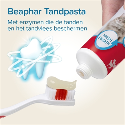 Beaphar Tandpasta en Borstel Combi-pack voor Honden en Katten