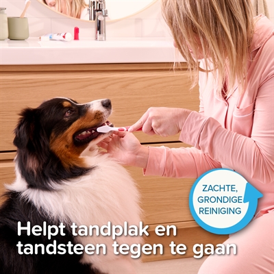 Beaphar Tandpasta en Borstel Combi-pack voor Honden en Katten
