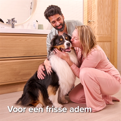 Beaphar Tandpasta en Borstel Combi-pack voor Honden en Katten