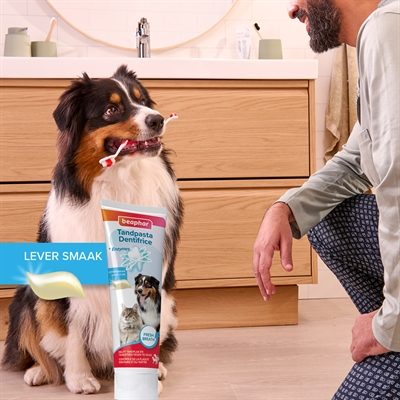Beaphar Tandpasta en Borstel Combi-pack voor Honden en Katten