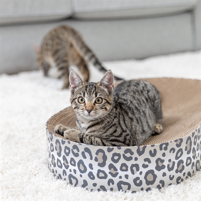 Trixie Krabmat/Mand Leo Karton met Catnip 63x35x10 cm
