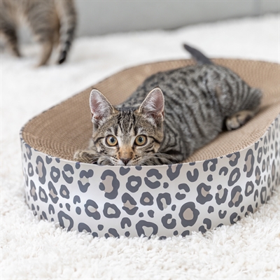 Trixie Krabmat/Mand Leo Karton met Catnip 63x35x10 cm