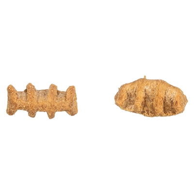 Trixie Fish Bones Kippenborst en Zalm 50 GR