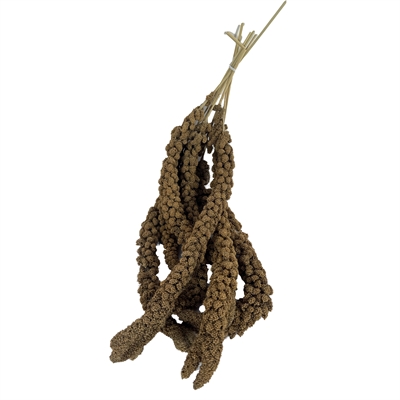 Prestige Trosgierst 300 GR