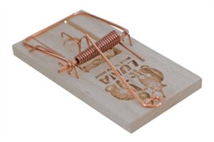 Luna Muizenval Hout 9,5x5x2 CM