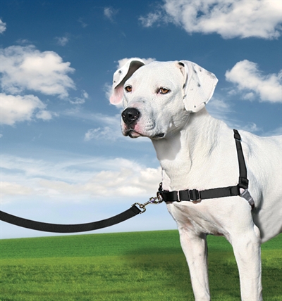 Petsafe Easy Walk Anti-trek Tuig Zwart M