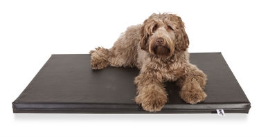 Bia Orthopedisch Hondenmatras Zwart 59x44x5 cm — Comfortabel en ondersteunend voor je hond