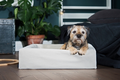 Bia Bed Cotton Hoes Hondenmand Zand 60x50x12,5 cm — Comfortabele en stijlvolle ligplek