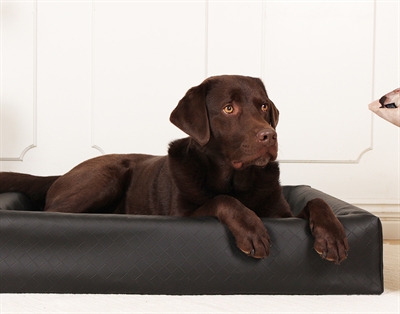 Bia Hondenmand Original Square Zwart 120x100x15 cm — Comfortabele plek voor jouw hond