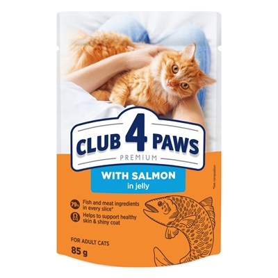 CLUB 4 PAWS Adult Zalm In Gelei Pouch 24x85 GR