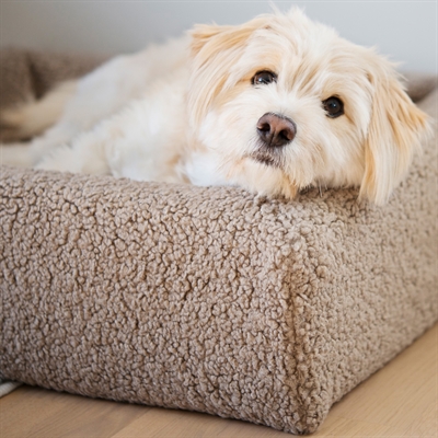 Bia Bed Premium Hoes Teddy Beige 120x100x15 cm — Knusse ligplek voor je hond