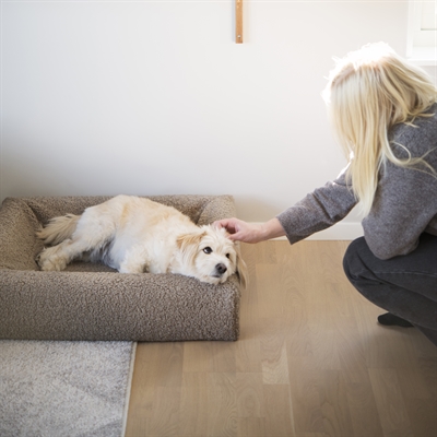 Bia Bed Premium Hoes Teddy Beige 120x100x15 cm — Knusse ligplek voor je hond