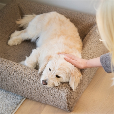 Bia Bed Premium Hoes Teddy Beige 120x100x15 cm — Knusse ligplek voor je hond