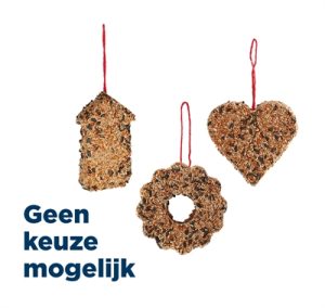 Best For Birds Vogelvoer Figuur 15x3,5x14,5 CM