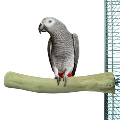 Back Zoo Nature Java Perch 30x3-4 cm zitstok