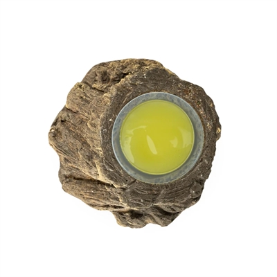 Back Zoo Nature Fruitcup Houder Bark-look Assorti 5x3 cm