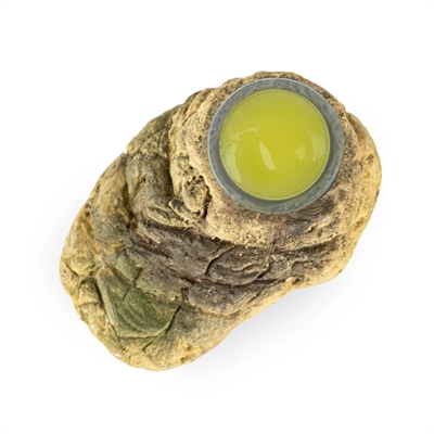Back Zoo Nature Fruitcup Houder Stone-look 10x6x3,5 cm