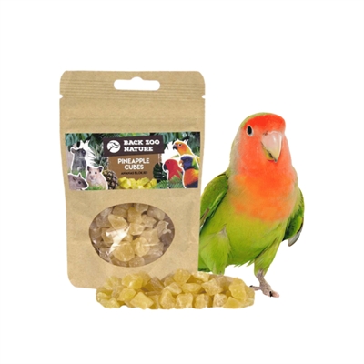 Back Zoo Nature Ananasblokjes 50 GR voor vogels en knaagdieren