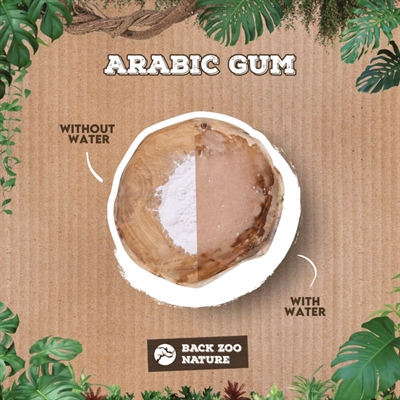 Back Zoo Nature Arabic Gum 50 GR voor knaagdieren en vogels