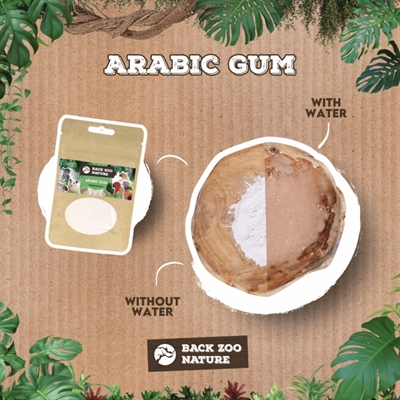 Back Zoo Nature Arabic Gum 50 GR voor knaagdieren en vogels