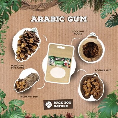 Back Zoo Nature Arabic Gum 50 GR voor knaagdieren en vogels