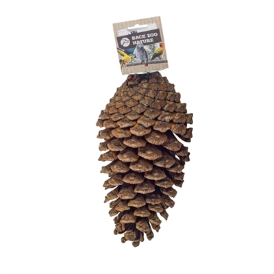 Back Zoo Nature Foerageer Dennenappel 15-20 cm